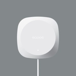 Ease One Equalizer Single Phase 100A